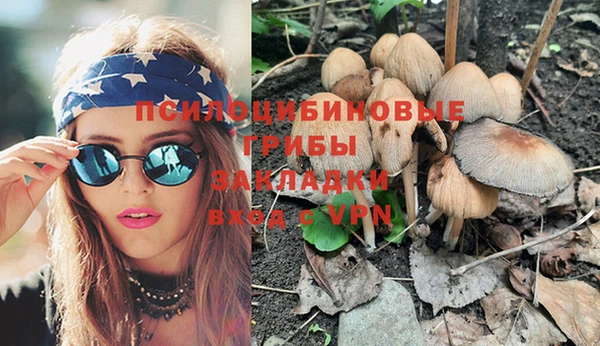стафф Магас