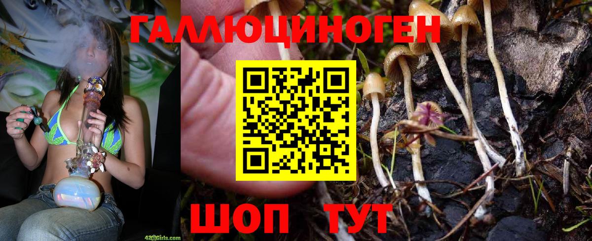 Галлюциногенные грибы Psilocybe  Вход с VPN  Таганрог  Псилоцибиновые грибы MAGIC MUSHROOMS 